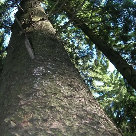 Apartament Na Wzgorzu Apartmán Visla