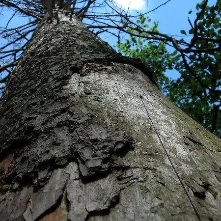 Apartmán Apartament Na Wzgorzu