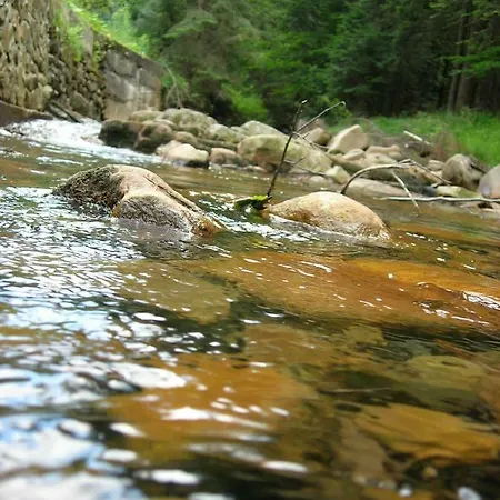 Apartament Na Wzgorzu *