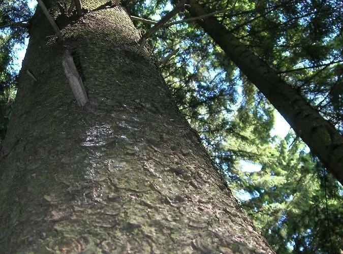 Na Wzgorzu Apartment Wisla