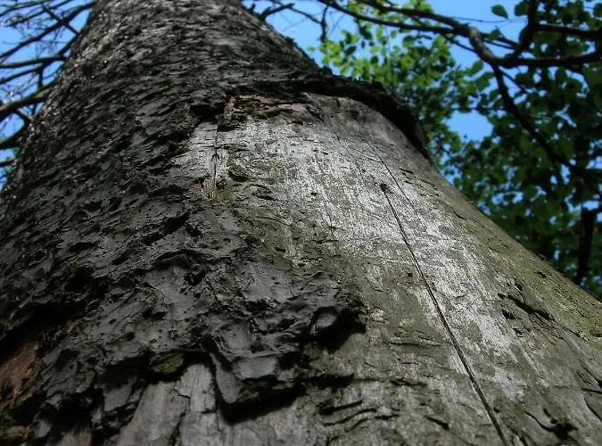 Apartment Na Wzgorzu